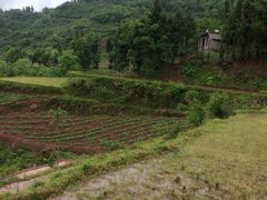 -鹿院坪生态旅游景区
