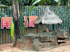 -深圳野生动物园