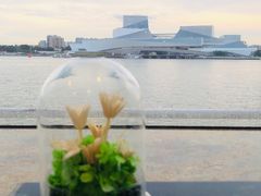 -白天鹅宾馆·流浮阁咖啡厅