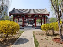 -西海子公园