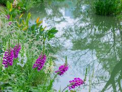 -人民公园(罗湖区)