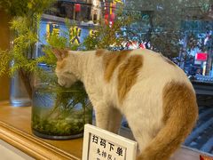 -正南齐北·老街糯米团(洪崖洞店)