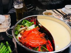 -大红袍火锅料理(尖沙咀店)