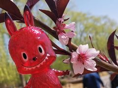 -大兴滨河森林公园