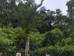 -安溪清水岩