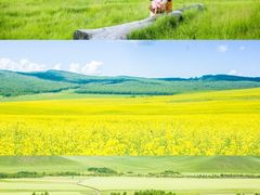 -呼伦贝尔大草原
