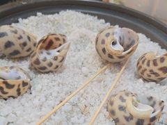 -南海食街(佛冈店)