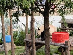 -西霞口神雕山野生动物世界