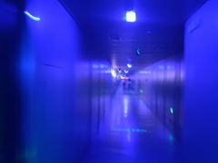 -白鹤梁水下博物馆