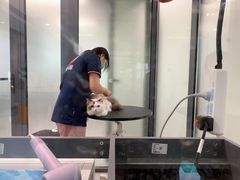 -奈斯宠物医院·核磁CT·异宠专科·内镜(中南店)