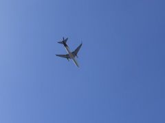 -春花秋色城市公园