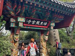 -海东龙宫寺