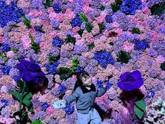 -顺德南宏海立方海洋公园