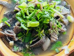 -小杨翘脚牛肉
