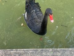 -得丘礼享谷·玉兰苑