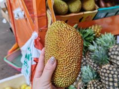 -新鸿港水果市场