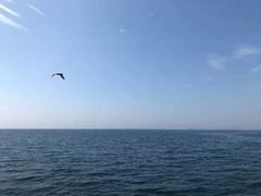 -星海蹦极娱乐