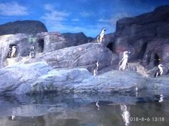 -暹罗海洋世界