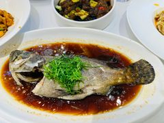 -大柴·宴宾楼(芥园西道店)