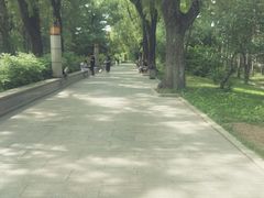 -长春市南湖公园