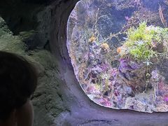 -杭州长乔极地海洋公园