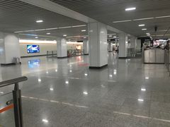 -杨高南路(地铁站)