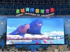 -泉城欧乐堡海洋极地世界