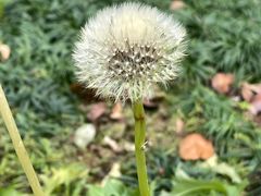 -广州神农草堂中医药博物馆