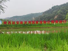 -南泥湾风景区