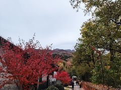 -红螺寺