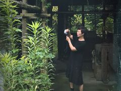 -书隐楼