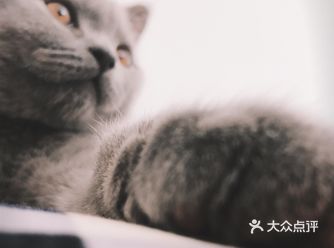 为什么叫十五呢？ 因为…… 去年八月十五号带回来的