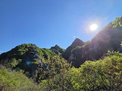 -大岭沟猕猴桃谷风景区