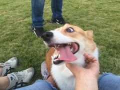 -杭州城北体育公园