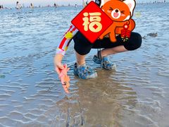 -奉贤海滩