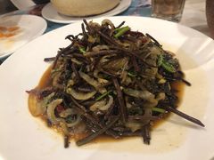 蕨菜炒蜇皮-南山鲜虾面·活鲜小馆·海味大连菜(南山总店)