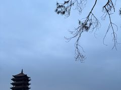 -缙云山景区