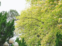 -星海公园(番禺区)