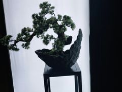 -滇铺子(欣都龙城店)