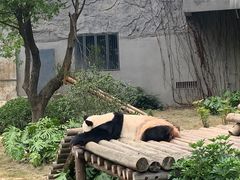 -柳州市动物园
