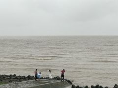 -南汇嘴观海公园