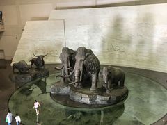 -大庆市博物馆