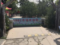 -1982农场
