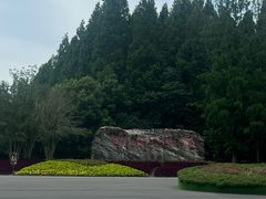 -东平国家森林公园