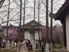 -堤角公园