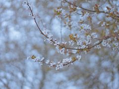 -天鹅湖体育公园