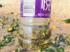 -黑石礁公园
