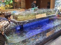 -传统菜农庄(皇姑路店)
