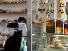 -春风十里咖啡馆