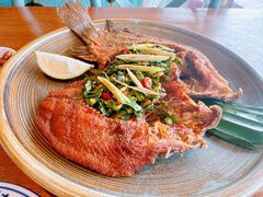 -滇越乘象云南餐厅(次渠店)